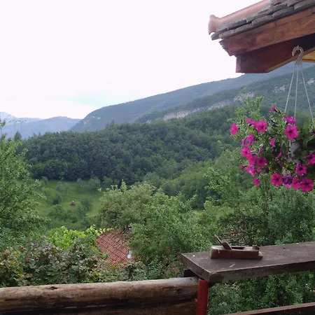 Tri Bagrema Km Apartment Mokra Gora Exterior photo